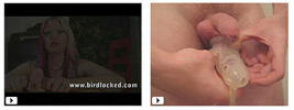 Movies Galery with Google.com