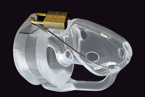 Birdlocked Prince Albert