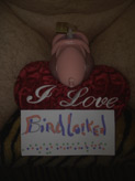 Fabri, Switzerland - Birdlocked Male Chastity Device