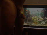Mike, Scotland - Birdlocked Male Chastity Device